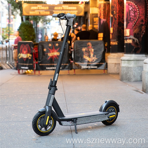 Ninebot Max G30LP Electric Adult Scooters Fast Speed